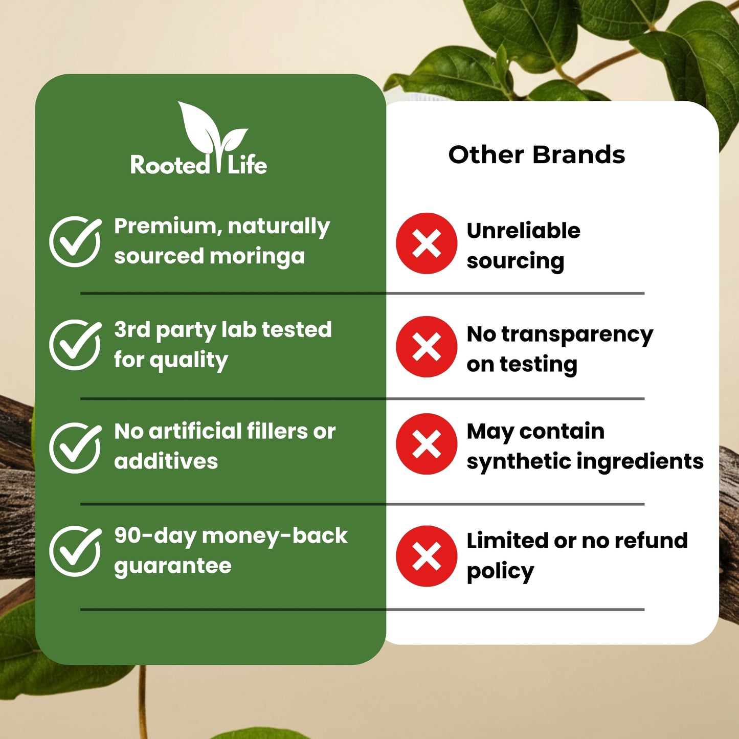 Rooted Life Moringa - Naturally Stabilises Blood Sugar To Sleep Through The Night Again