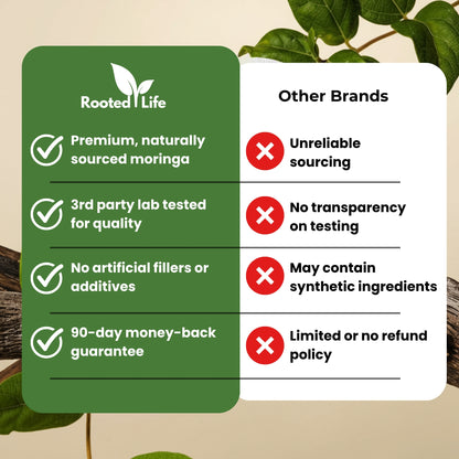 Rooted Life Moringa - Naturally Stabilises Blood Sugar To Sleep Through The Night Again