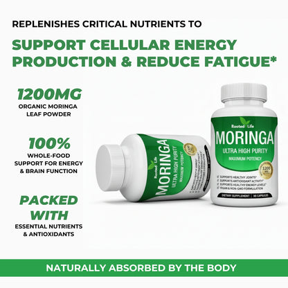 Rooted Life Moringa - Naturally Restores Energy with 92 Essential Nutrients