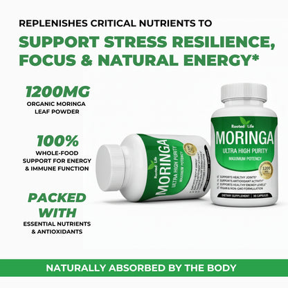 Rooted Life Moringa – Naturally Lowers Cortisol To Help Restore Balance Inside and Out