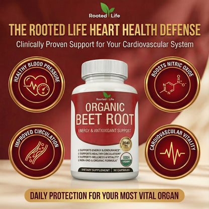 Beetroot: Heart Health & Steady Energy for Women Over 50